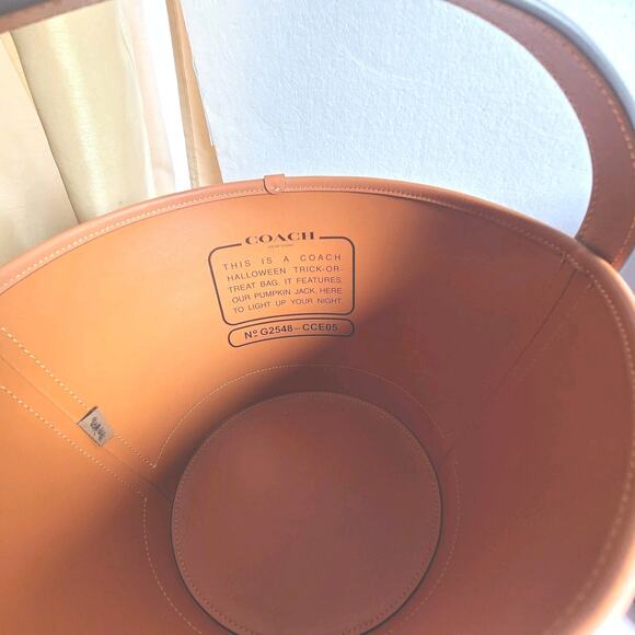 SET OF 3 COACH Trick Or Treat Cat Pumpkin Owl Halloween Buckets Bags NWT - Picture 7 of 7